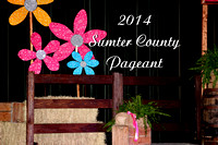 2014 Baby Pageant