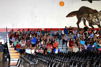SSHS 002