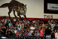 SSHS 0003